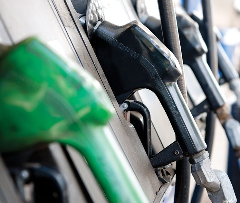 Domestic Freight Market Update